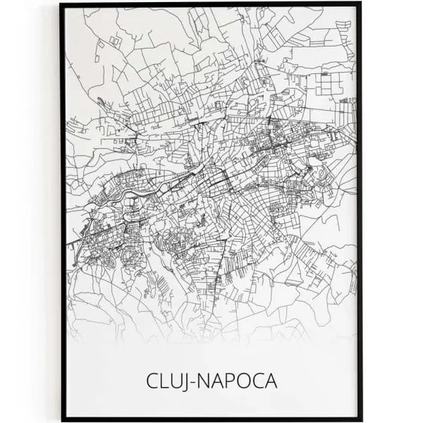 Cluj napoca