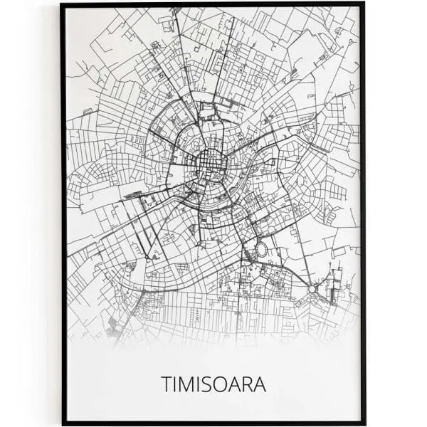 Timisoara